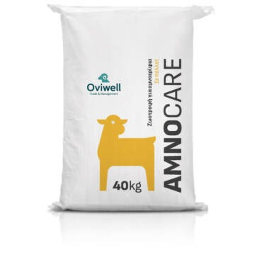 Amnocare 1000