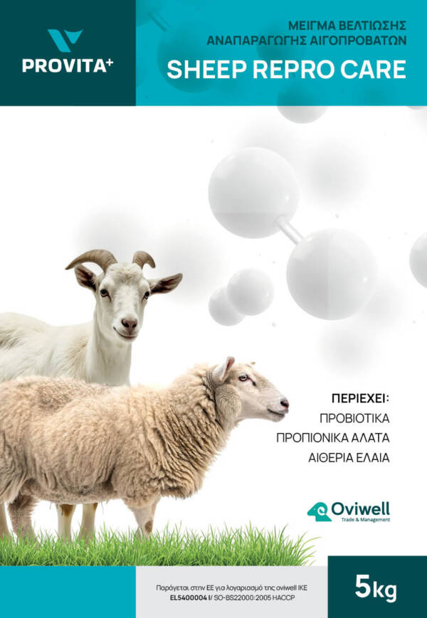 Sheep Reprocare - Image 2