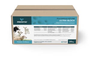 ΠΛΑΚΕΣ ΛΕΙΞΕΩΣ